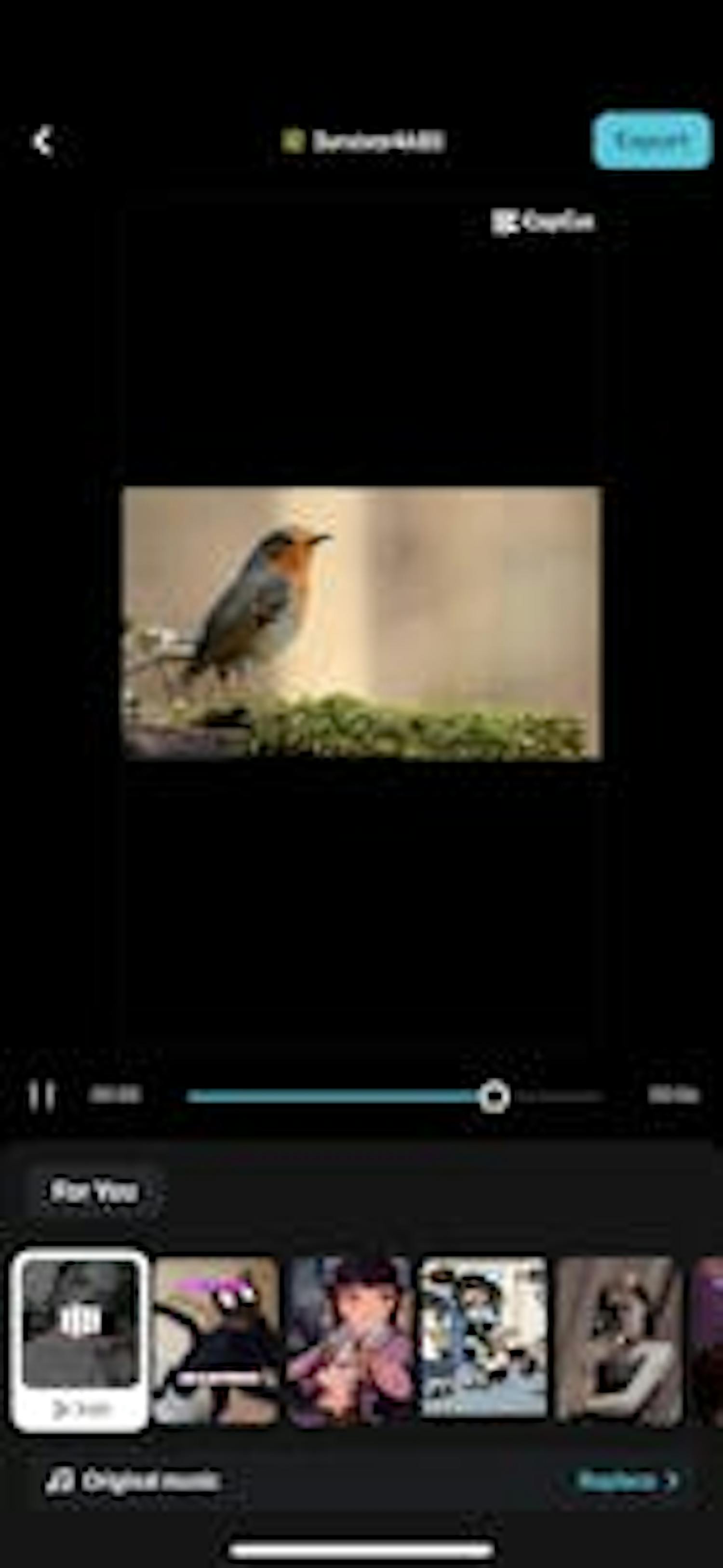 Manuell redigering Med CapCuts mange videoverktøy kan du ta redigeringen til neste nivå.